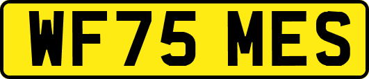 WF75MES