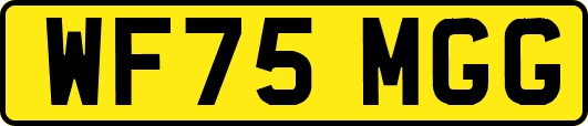 WF75MGG