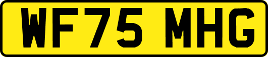 WF75MHG