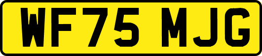 WF75MJG