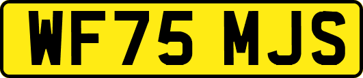 WF75MJS