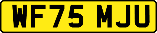 WF75MJU