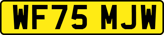 WF75MJW