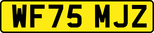 WF75MJZ