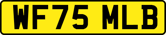 WF75MLB
