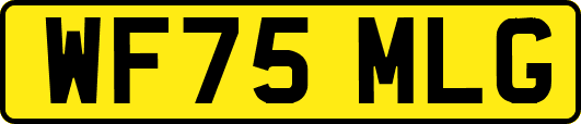WF75MLG