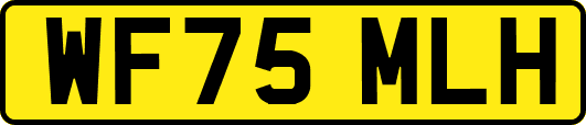 WF75MLH