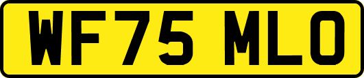 WF75MLO