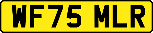 WF75MLR