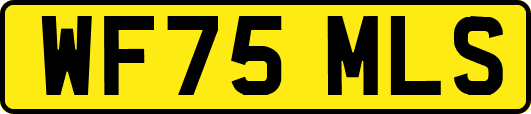 WF75MLS