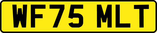 WF75MLT