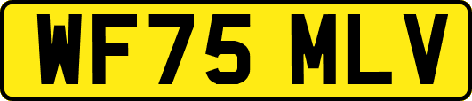 WF75MLV
