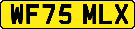 WF75MLX