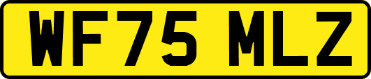 WF75MLZ