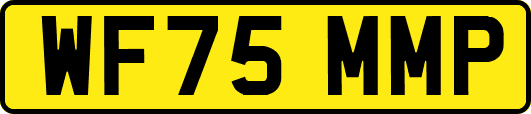 WF75MMP
