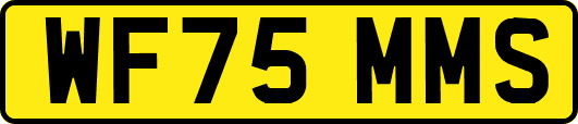 WF75MMS