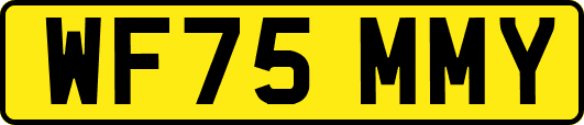 WF75MMY