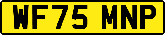 WF75MNP