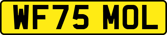 WF75MOL