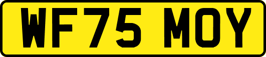WF75MOY