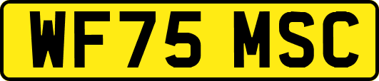 WF75MSC