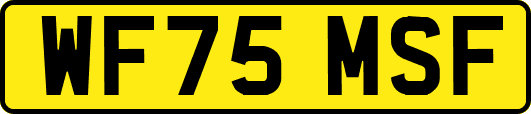 WF75MSF