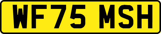 WF75MSH