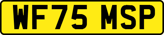 WF75MSP