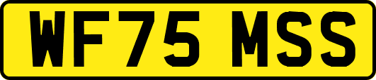 WF75MSS