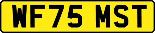 WF75MST
