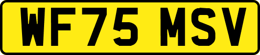 WF75MSV
