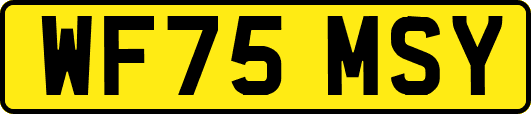 WF75MSY