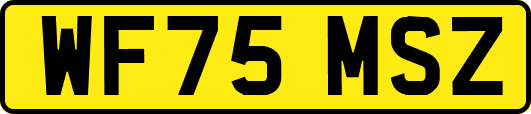 WF75MSZ