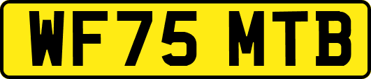WF75MTB