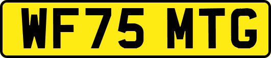 WF75MTG