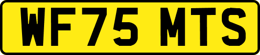 WF75MTS