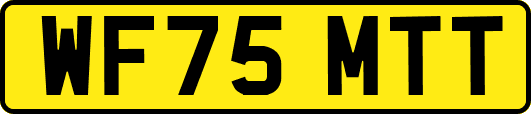 WF75MTT
