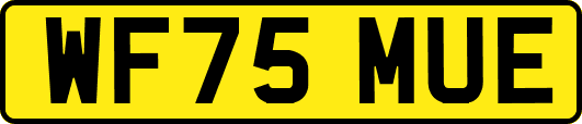 WF75MUE