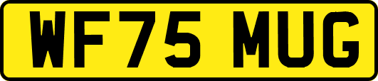 WF75MUG
