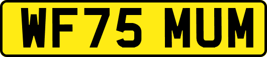 WF75MUM