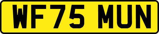 WF75MUN