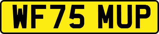 WF75MUP