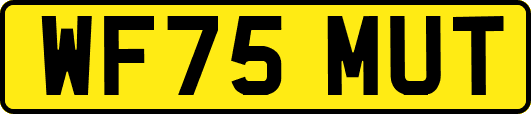 WF75MUT