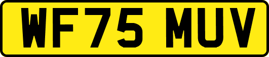 WF75MUV
