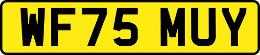 WF75MUY