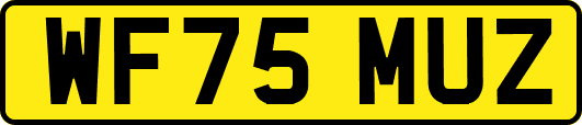 WF75MUZ