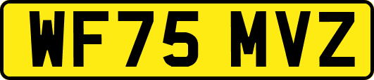WF75MVZ