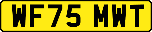 WF75MWT