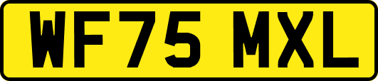 WF75MXL