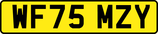 WF75MZY